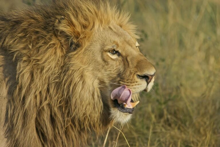 Tour tanzania